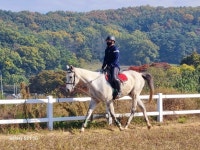 달구벌함박승마공원, 자연과 교감하는 실내·야외 마장 완비한 복합 승마시설 운영