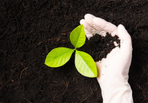 화학비료의 한계···지속 가능한 농업 살릴 친환경 비료가 뜬다