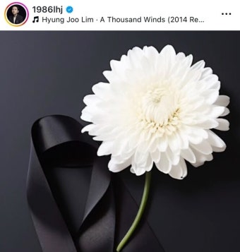 안영미, 제주항공 참사 희생자 위로와 공감 전하며 감동적 메시지 전달