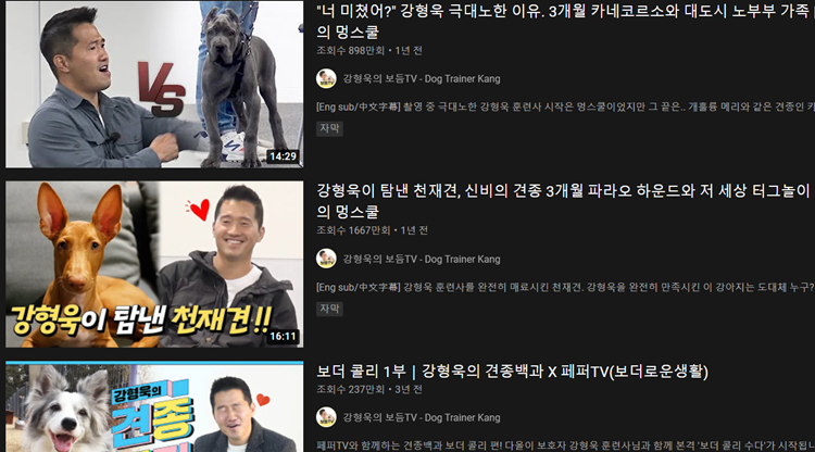 오은영 박사, 수의사들의 스트레스와 어려움 고민 해결하는 조언 전해져
