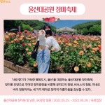 [카드뉴스] 알록달록 장미꽃밭 나들이