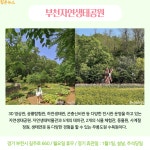 Naver 搜尋結果照片 6