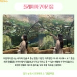 Naver 搜尋結果照片 4