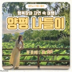 [카드뉴스] 자연 속 여행, 양평 나들이