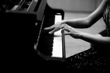 [취미학개론] 악기의 황제를 통해 넓은 음역을 가로지르다