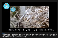 [MZ팬덤을찾아서] BTS도 반한 농촌 생활...농촌에서 생업·가치 찾는 청년들