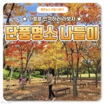 [카드뉴스] 가을을 만끽할 수 있는 단풍 명소 나들이 1편
