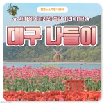 [카드뉴스] 사계절 볼거리 가득, 대구 나들이