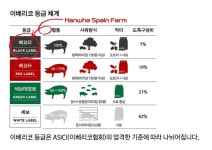 갤러리아百, 스페인 한화 농장서 직접 키운 순종 이베리코 출시