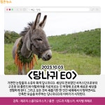 [카드뉴스] 10월 첫째 주 개봉예정영화, 