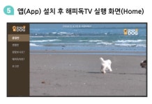 통신3사,  1500만 반려동물 시장 노린다