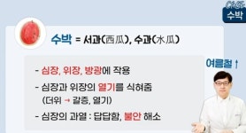 [톡톡 100세 인생] 여름엔 수박이지...수박의 기막힌 효능은?