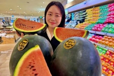 롯데백화점 30년 수박 외길, 함안 강고집 흑피 수박 판매