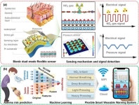고려대 연구팀, 인공 표피 기반 스마트 헬스케어 플랫폼 개발...천식 조기 진단 가능성 마련