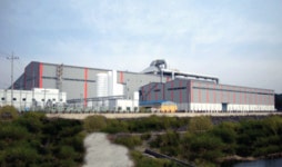 매직솔루션, 한국특강 주식 매수 행진