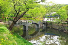 솔바람 사이로 천년의 이야기 솔솔…지친 심신 저절로 치유 [테마여행]