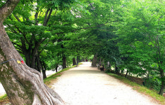 그림자도 쉬어가는 곳, 그곳에선 욕망의 시간도 멈췄다 [테마여행]