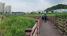 역사 체험…문화 호흡…56.5km의 이야기를 보고 듣고 [테마여행]