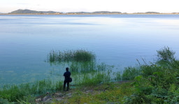 금빛 해바라기, 은빛 바다, 쪽빛 하늘에 가을이 일렁인다 [테마여행]