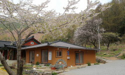 해발 800m 야생화 그득 꽃길 도란도란 추억 가득 숲길 [테마여행]