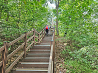 서울대공원 품고 청계산 안고…명품 둘레길 힐링 속으로 [테마여행]