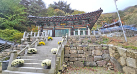 우렁찬 계곡 물소리, 가득찬 피톤치드 향…가슴 벅찬 희열! [테마여행]