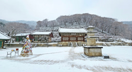 화려한 눈꽃 숨막히는 풍광…수려한 호반 경이로운 정취 [테마여행]