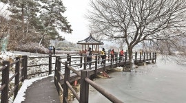화려한 눈꽃 숨막히는 풍광…수려한 호반 경이로운 정취 [테마여행]