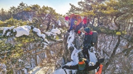 예천 효자면 지나며 금수들도 감동한 효심을 읽다