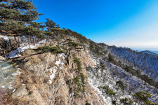 예천 효자면 지나며 금수들도 감동한 효심을 읽다