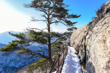 예천 효자면 지나며 금수들도 감동한 효심을 읽다