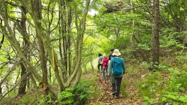 갯벌 걷고 숲길 걷고 꽃길 걸으며 환상의 풍광 음미