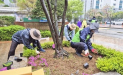의정부시 호원아이파크아파트 봄꽃 식재 행사