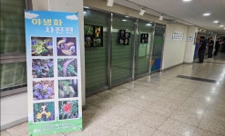 인천 소래 휴먼시아1단지, 야생화 사진전 개최 
