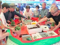 통영 도남주공아파트 반려 식물 클리닉 행사 입주민 호응