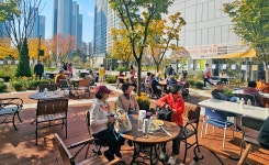 경산 하양LH천년나무4단지, 국화꽃 축제 개최