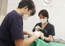 컴퓨터 분석 활용한 임플란트, 정확도·안정성 높일 수 있어