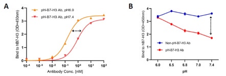 와이바이오로직스, 월드 ADC 콘퍼런스서 pH-감응 항체 및 ADC 물질 공개
