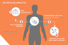 [인터뷰] 이엑스헬스케어, miRNA 부스팅 기술로 피부에 바르는 헬스케어 실현