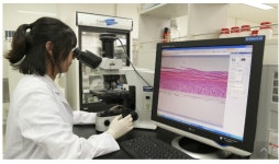 [특징주] 바이오솔루션, 연골세포치료제 임상 성공 기대감에 강세