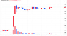 [특징주]로킷헬스케어 중국 동결 경화 바이오프린터 특허 등록…장중 주가 급등