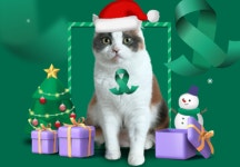 한국베링거인겔하임동물약품-퓨어박스, 보호자 대상 초록리본 메리냥스 이벤트 진행