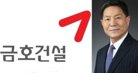 지배주주 감시도 못한 서재환이 금호건설 사내이사?