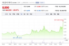 2차전지 관련주 뛰니 태경비케이, 유일무이 상한가 [뉴스톡 웰스톡]