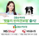 NS홈쇼핑, DB손보 펫블리 반려견보험 단독 론칭