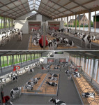 풀무원, 전북도·서울대·라트바이오와 동물복지 미래목장 설립 협약 체결