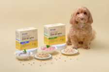 대상펫라이프 닥터뉴토, 반려동물 종합영양제 올라이즈 원데이 멀티 솔루션 4종 출시