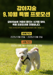 반려견과 가을맞이 가볼까…강아지숲, 9~10월 특별 프로모션