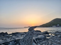 [포토] 누구 작품일까, 강화도 동막해수욕장에 돌로 만들어진 예술품 가득