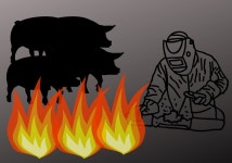 안성 농장서 불, 돼지 460마리 폐사 용접 작업 불티 원인